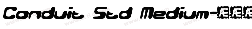 Conduit Std Medium字体转换